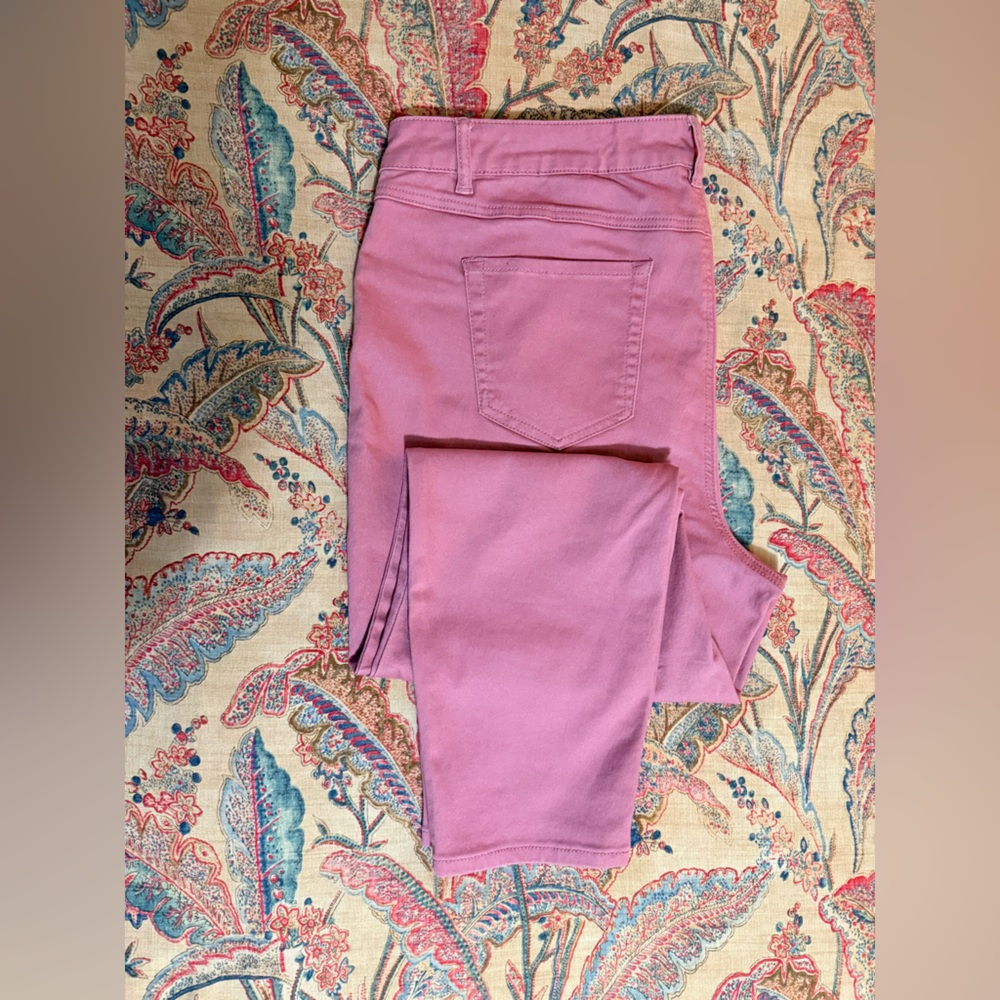 D.Jeans Women’s 20W Zippered Rose Ankle Jeans in VGUC